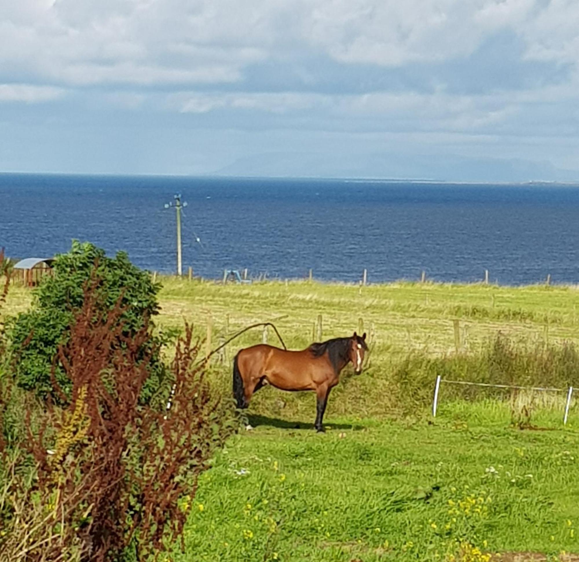 Sunrise View Bed & Breakfast Castlemagee Exterior photo